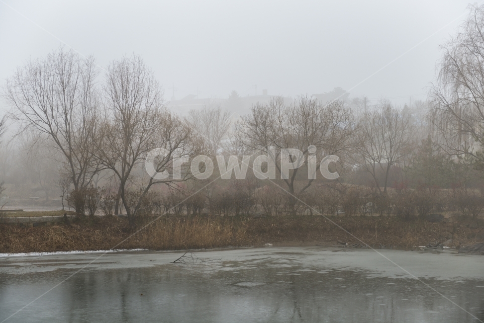 비,rain,강화도,덕진진,호수,저수지,나무,풍경,landscape,자연,풍경,nature,landscape,weather,날씨,outdoors,옥외