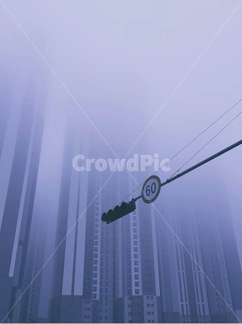 fog,안개,아파트,신호등,자연,nature,표지판,새벽,교통,교통수단,traffic,transportation