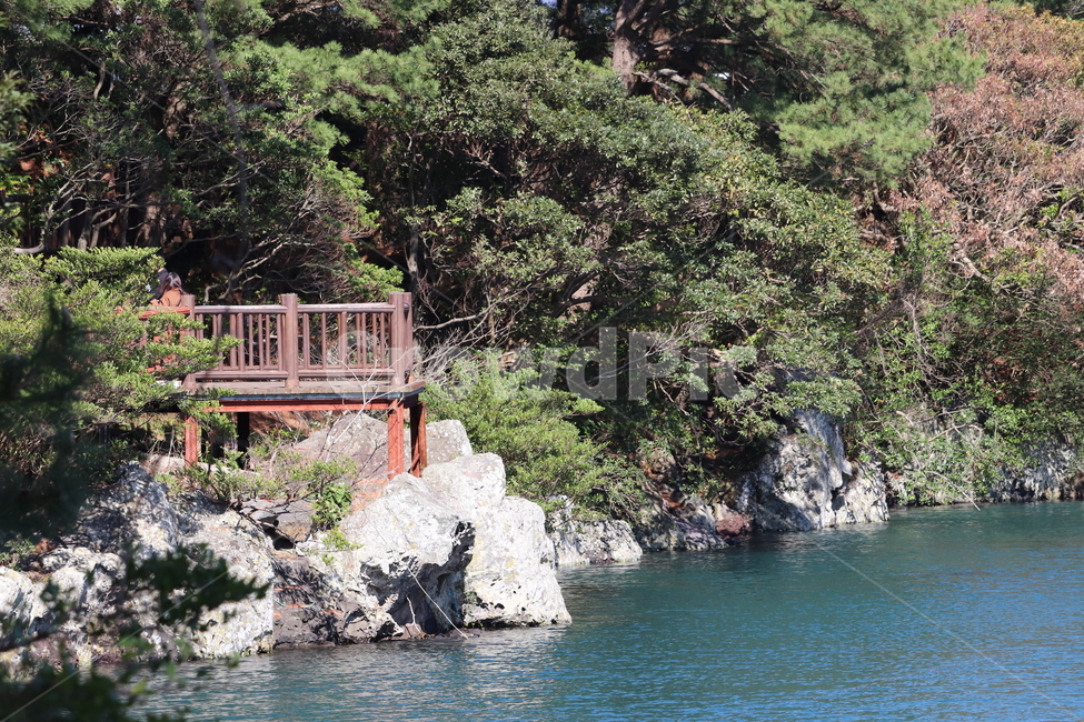 nature,자연,제주,쇠소깍,outdoors