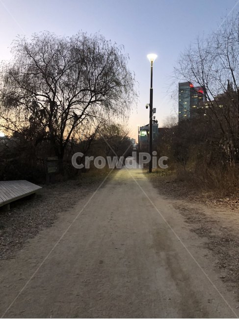 여의도,한강공원,서울,한강,공원,sky,park,sunset,야경,밤,풍경,nightscape,night,landscape,path,통로,nature,자연,road,도로