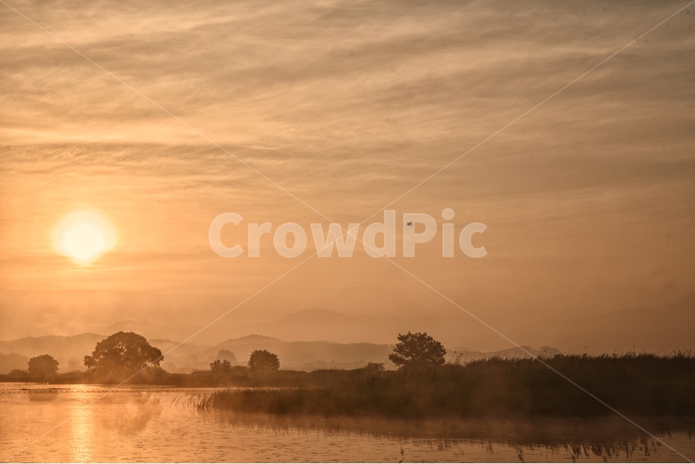 물안개,새벽,늪,일출,자연,풍경,몽환,자연,풍경,nature,landscape,한국자연풍경,한국자연경관,korea nature landscape,outdoors,옥외,sky,하늘
