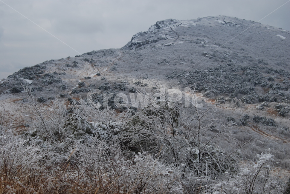자연,설경,산행,탐방로,하늘,겨울,계절,winter,season,자연,풍경,nature,landscape,한국자연풍경,한국자연경관,korea nature landscape,slope,경사,outdoors,옥외