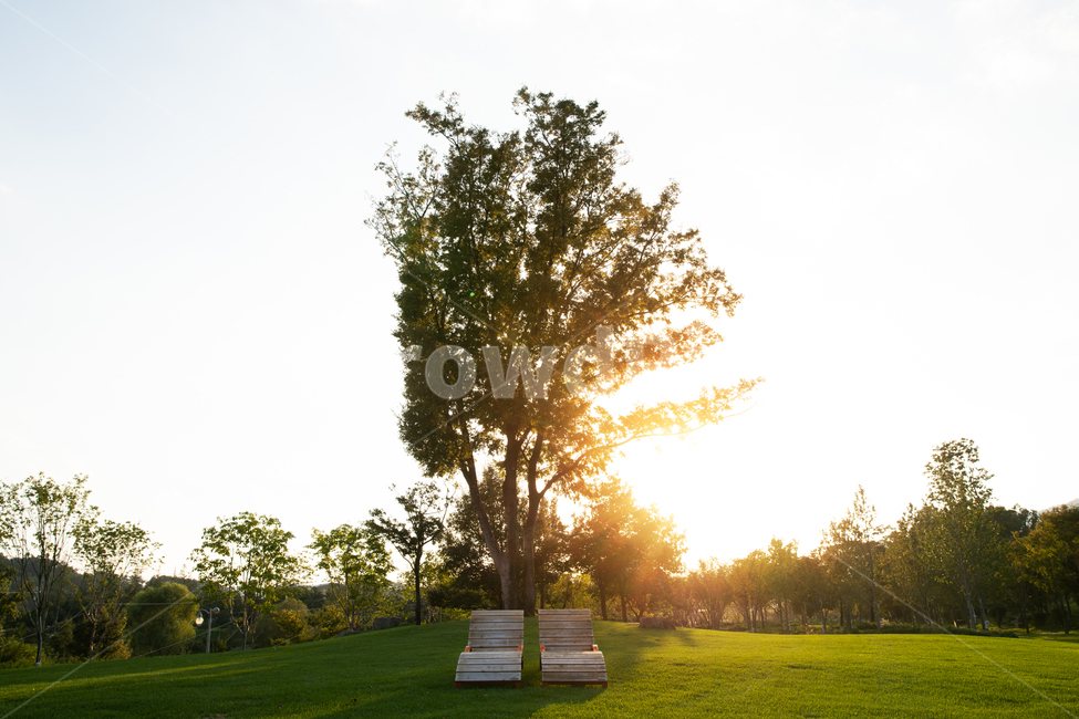 grass,식물,잔디,휴식,힐링alone,background,beautiful,beauty,bench,blue,chair,day,empty,environment,field,foliage,forest,furniture,garden,goldenlight,green,holiday,landscape,lawn,leaf,light,lonely,natural,nature,nobody,old,outdoor,outdoors,park,peaceful,plant,public,relax,relaxation,resting,romantic,scene,season,seat,sky,spring,summer,sun,sunny,tree,trees,wood,wooden,자연,풍경,nature,landscape,plant,lawn