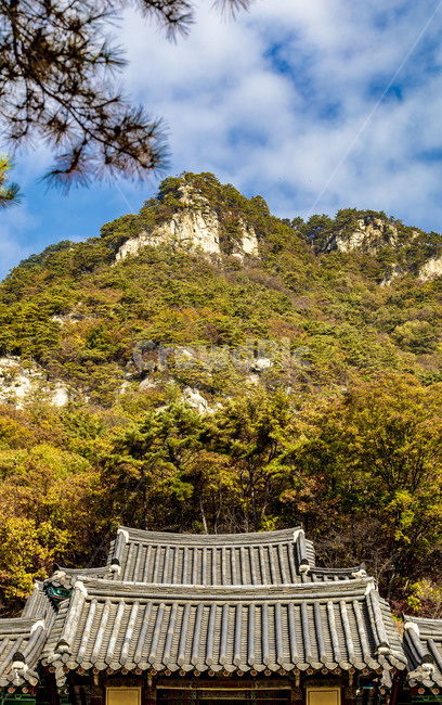 청평사,사찰,전통가옥,기와,단풍,은행나무,기와지붕,풍경,숲,문화유산,가을,단청,건축물,지붕,자연,가을,계절,fall,autumn,season,한국전통,한국문화,korean traditional,korean culture,건축물,건물외관,exterior,building,structure,architecture,construction,outdoors,옥외,nature