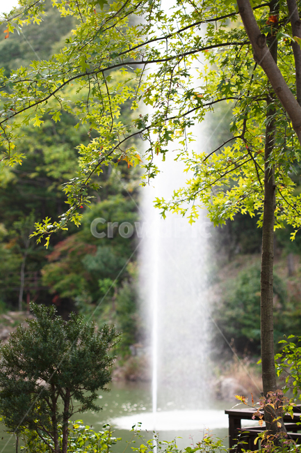 water,자연,식물,분수,물,연못,나무,식물원,옥외,야외,아웃도어,시설,시설물,풀,수풀,나뭇잎,나무줄기,의자,경치,lake,tree,fountain,plant,nature,outdoors