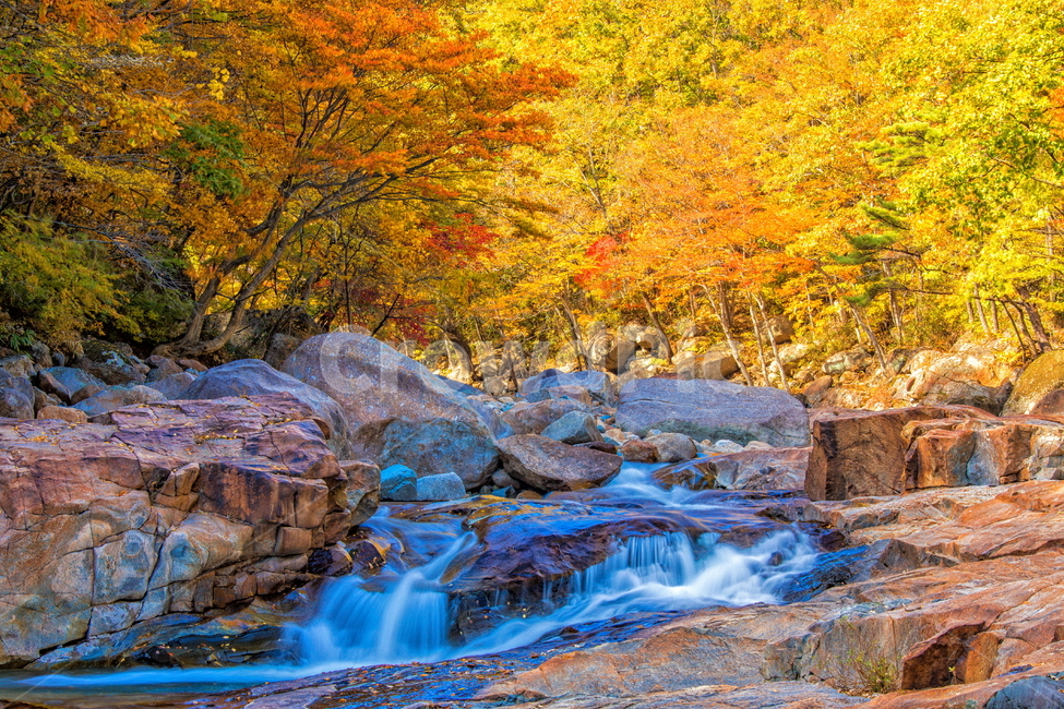 단풍,계곡,가을,산,물,가을,계절,fall,autumn,season,자연,풍경,nature,landscape,water,outdoors,옥외,river,강