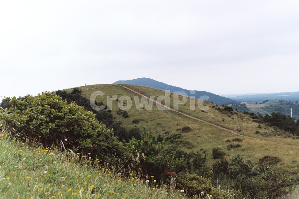 제주,제주도,오름,백약이오름,자연,자연,풍경,nature,landscape