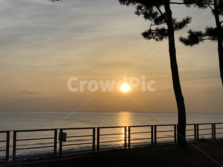 강원도,sunrise,일출,sunlight,햇빛,풍경,자연,자연,풍경,nature,landscape