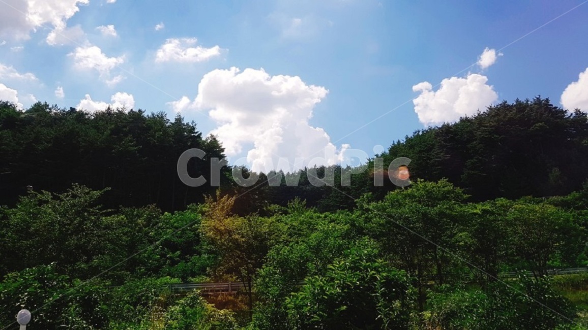 하늘,자연,맑음,산,시골