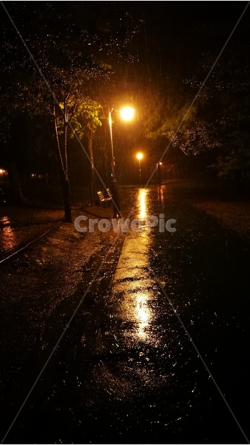 공원,비,밤,가로등,불빛,비,비오는날,rain,rainy