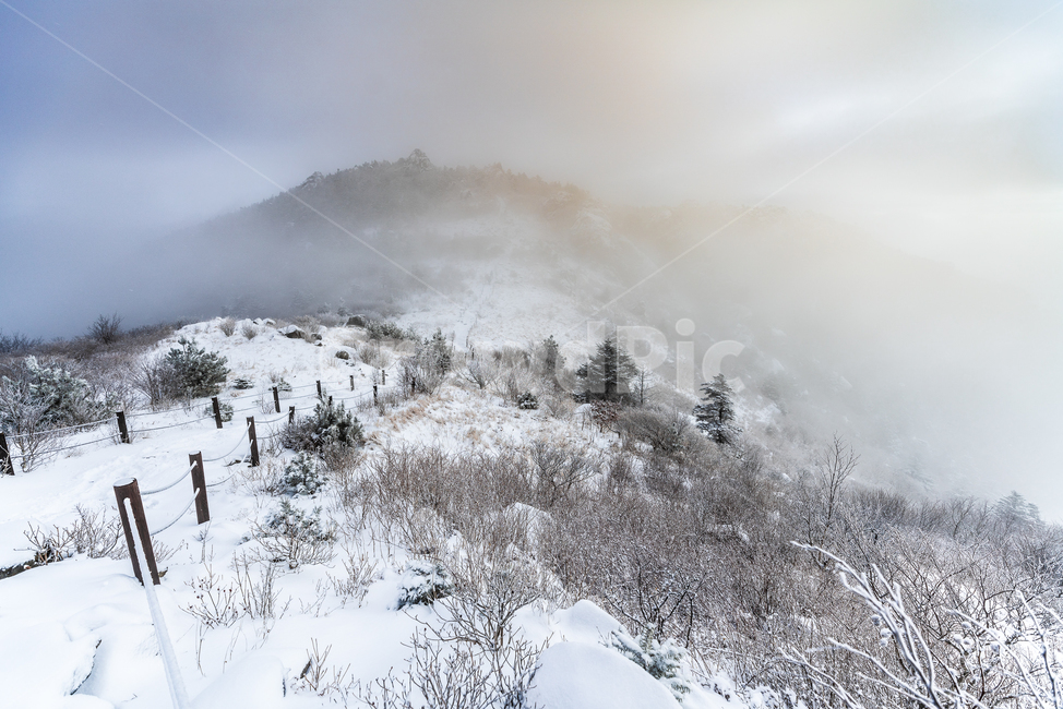 길,산,겨울,지리산,상고대,눈꽃,눈,겨울,계절,winter,season,자연,풍경,nature,landscape,plant,식물,tree,나무,fir,전나무,outdoors,옥외,weather,날씨
