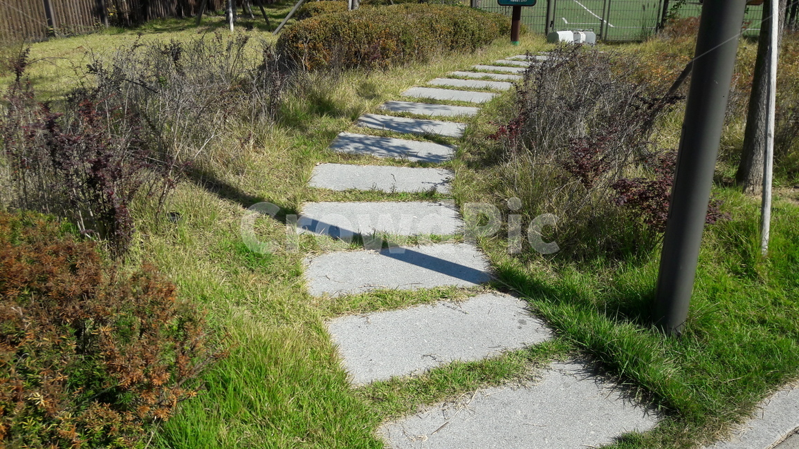공원,잔디,돌다리,돌바닥,길,자연,풍경,nature,landscape,flagstone,판석