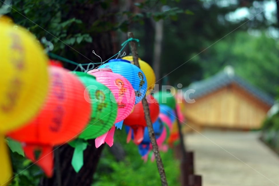 부처님오신날,연등,연등행사,산속연등,오색연등