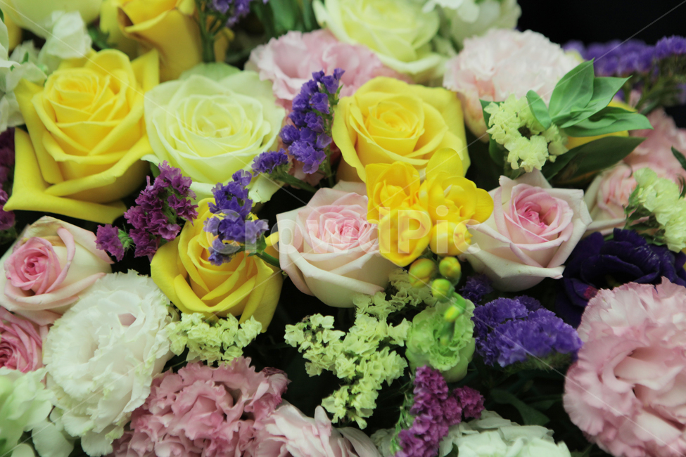 식물,꽃꽂이,꽃다발,배경,부케,flower,rose,plant,blossom,꽃,장미