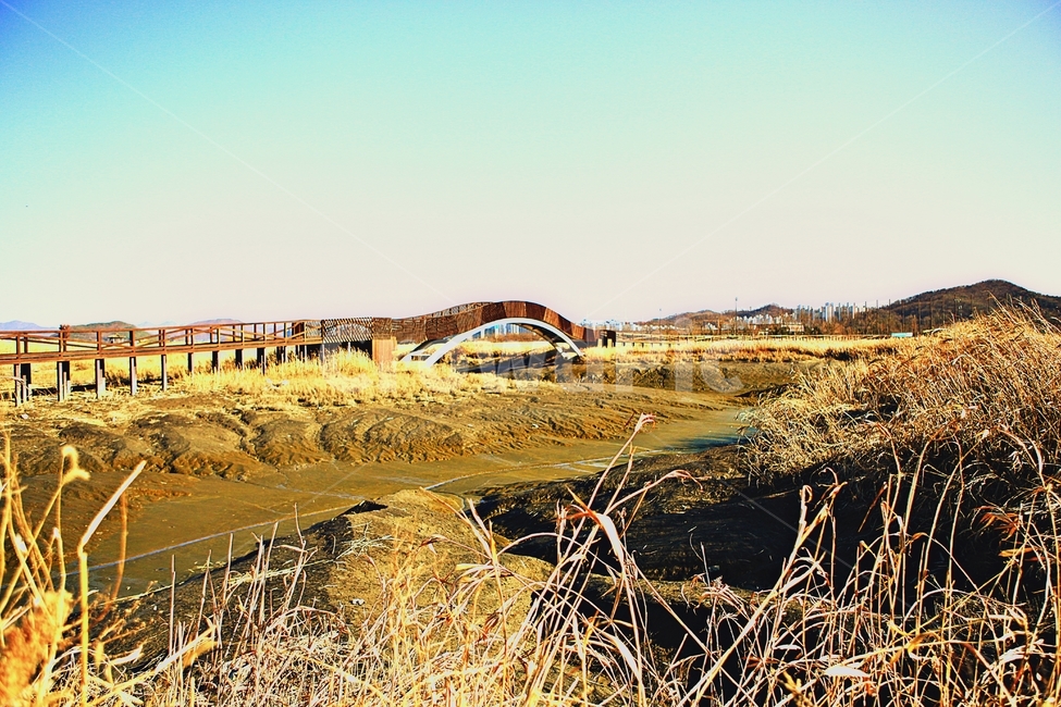 바라지다리,다리,생태공원,풍경,배경,자연,자연,풍경,nature,landscape,한국자연풍경,한국자연경관,korea nature landscape