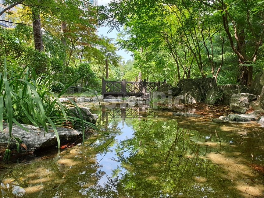 호수,자연,연못,여름,계곡,물,자연,풍경,nature,landscape,water,outdoors,옥외,land,땅