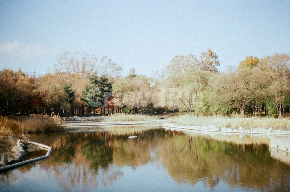 겨울,필름사진,호수,풍경,나무,lake,film,감성사진,계절,아늑한,잔잔한,sensitive,tree,winter,landscape,하늘,조용한,힐링,산책,가을,계절,fall,autumn,season,자연,풍경,nature,landscape,감성,sensible,feeling,water,물,outdoors,옥외,land,땅