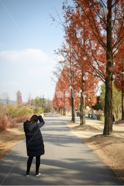 가을,여행,여자,뒷모습,나무,공원,출사,가을,계절,fall,autumn,season,사람,인물,인간,human,person,여성,여자,woman,female,lady