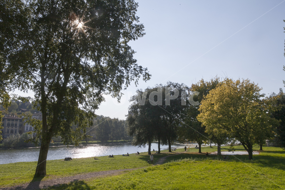 FiumeArno,Tuscany,Firenze,Italy,Europe,유럽,이탈리아,피렌체,아르노강,도시,풍경,city,landscape,해외,외국,세계,foreign,oversea,world,세계도시풍경,해외도시풍경,외국도시풍경,world cityscape,사람들,대중,군중,other people,crowd,휴식,힐링,rest,relaxation,healing,plant,식물,tree,나무,grass,잔디,tree trunk,나무 줄기