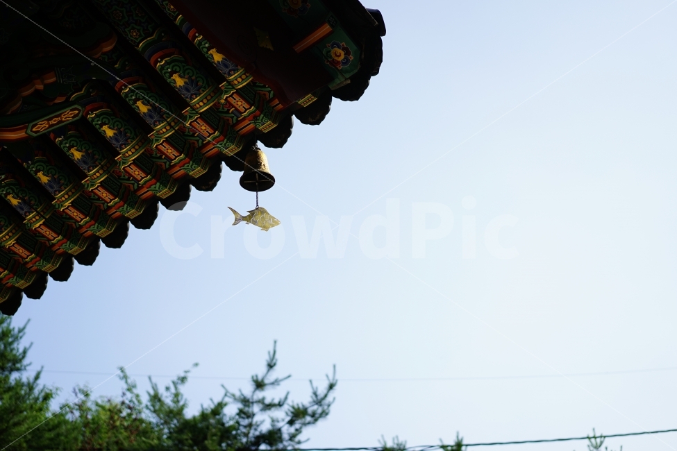 처마,지붕,전통,절,사찰,한국,전통문화,문화,불교,신앙,종,건축물,건물외관,exterior,building,structure,architecture,construction,한국전통,한국문화,korean traditional,korean culture,종교,신앙,religion,belief,faith