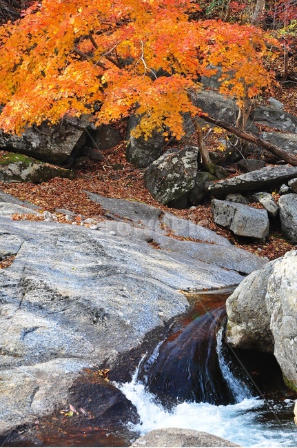 구례,피아골,피아골계곡,단풍,폭포,leaf,잎,plant,식물,tree,나무,maple,water,물,scenery,풍경,outdoors,옥외,nature,자연,landscape,경치,가을,계절,fall,autumn,season,자연,풍경,nature,landscape