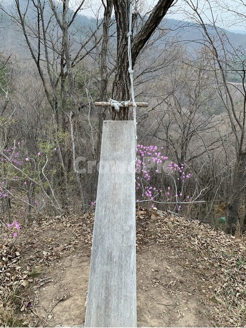 뒷산,운동기구,윗몸일으키기,가을산,나무,가을