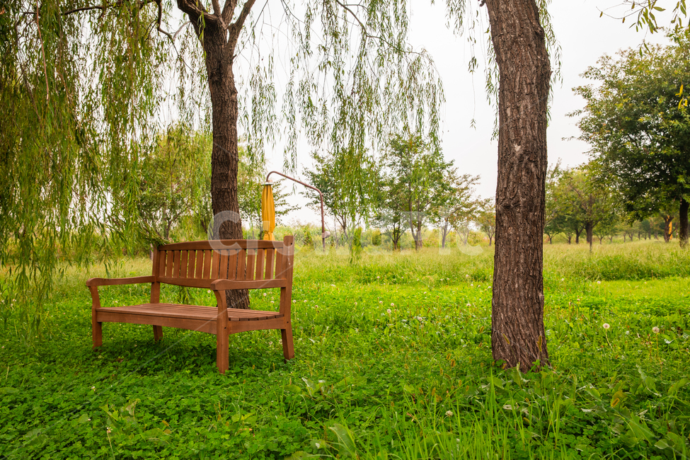 공원,생태공원,휴식,의자,테마,야외,자연,풍경,nature,landscape,bench,벤치,plant,식물,tree,나무