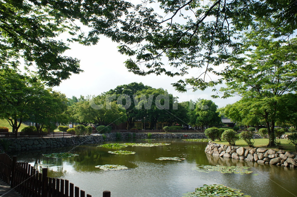 경주,경주풍경,풍경,연못,정원,water,물,nature,자연,outdoors,옥외,pond,못,한국,대한민국,신라,신라시대
