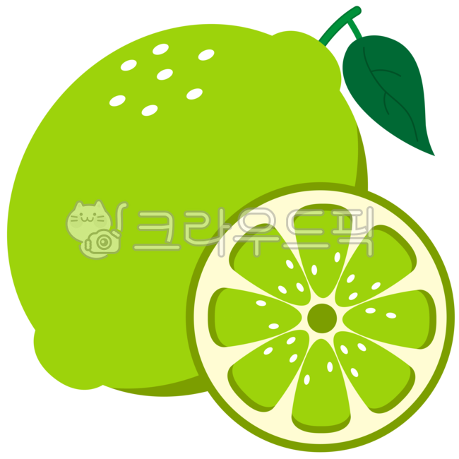 라임, 과일, 열매, fruit, 라임일러스트, 사진,이미지,일러스트,캘리그라피 - 물 결작가