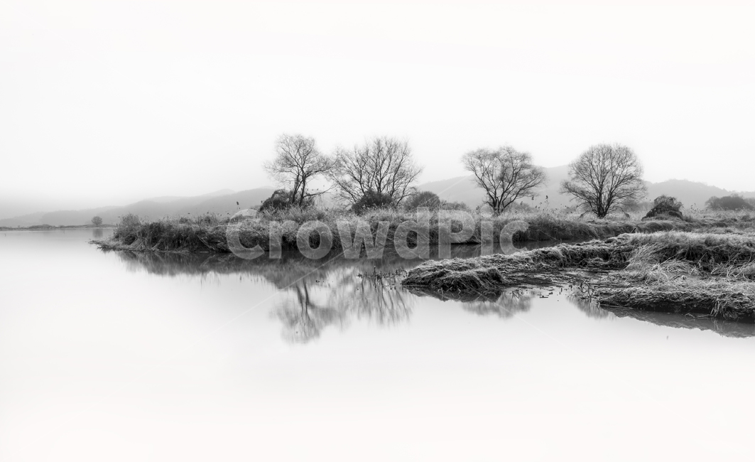 nature,자연,우포늪,우포,창녕,자연,풍경,nature,landscape,한국자연풍경,한국자연경관,korea nature landscape,흑백,모노톤,monochrome,black and white