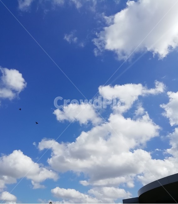 푸른하늘,azuresky,하늘,sky,구름,cloud