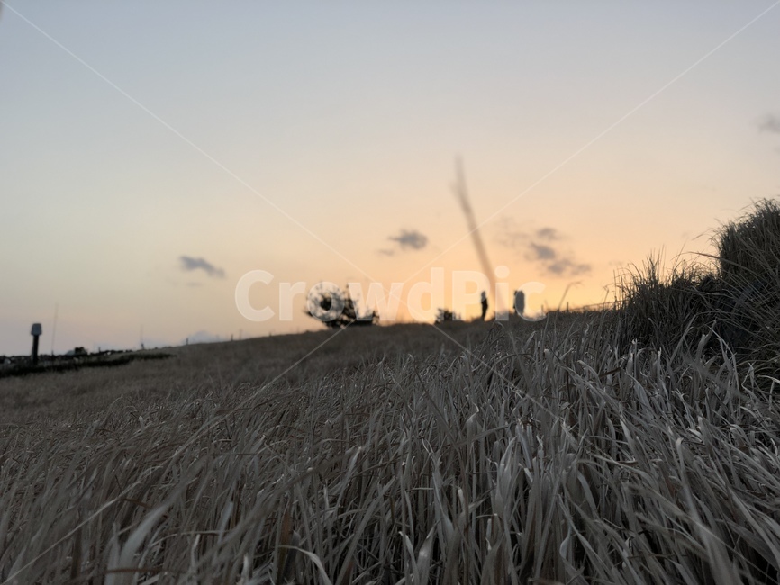 석양,갈대,노을,하늘,해안가,sunset,reed,wave,sky,bluff,구름,cloud,자연,풍경,nature,landscape,grass,잔디,plant,식물