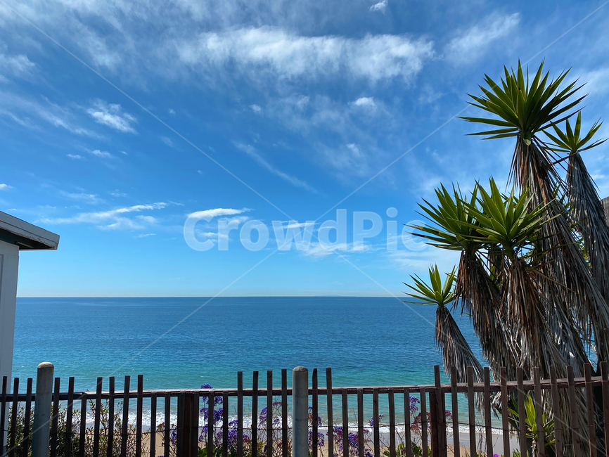 palmtree,clearsky,cloud,난간,railing,sea