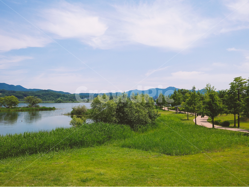 자연,물의정원,운길산역,한강,여름,북한강,남한강,하늘,구름,길,자연,풍경,nature,landscape,한국자연풍경,한국자연경관,korea nature landscape,outdoors,옥외,field,들