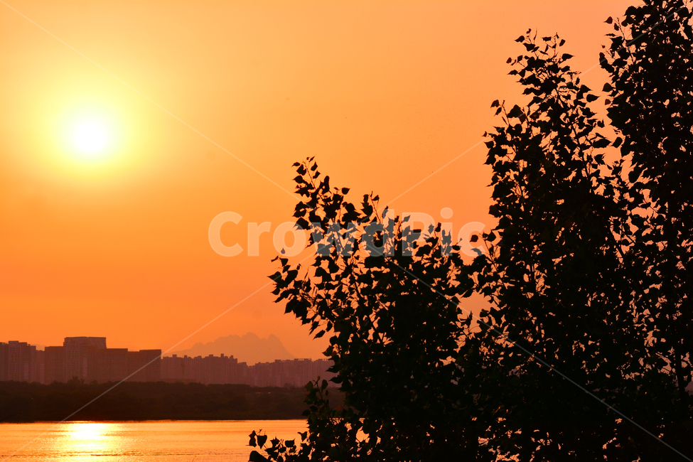 감성,보케,포플러,강변,노을,석양,해질무렵,sunset,riverside,flowers,아름다운,강물,물,water,햇빛,반사,feeling,emotion,sensible,landscape,야외,풍경,식물,오렌지색,그리움,추억,회상,태양,해,해그림자,sunlight,sun,빛무리,나뭇잎,분위기,느낌,도시,풍경,city,landscape,실루엣,그림자,silhouette,shadow,nature,자연,outdoors,옥외,sky,하늘,dusk,황혼,red sky,붉은 하늘,dawn,새벽,일몰