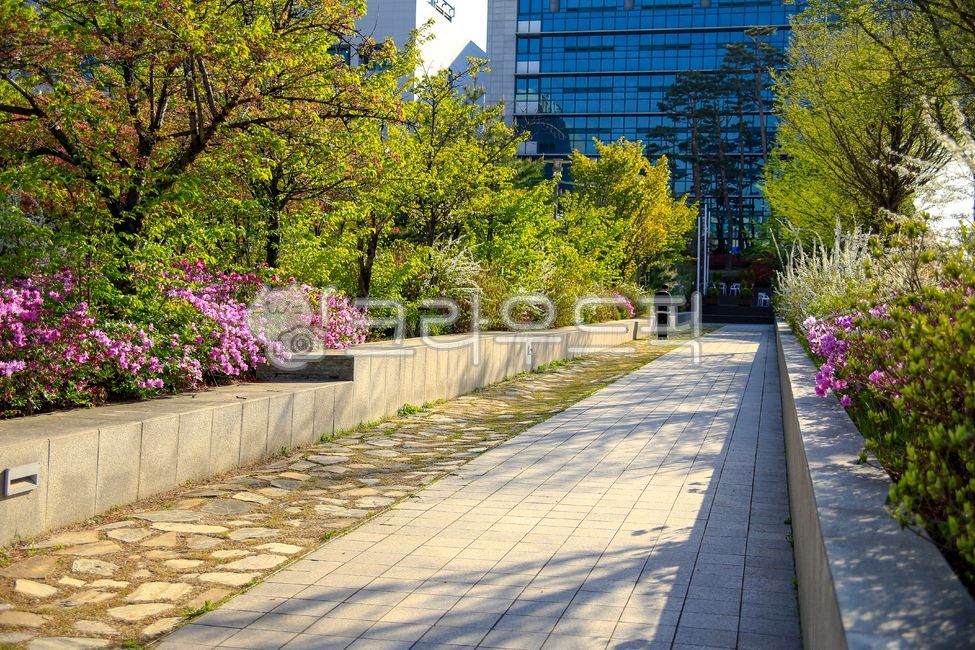 sky,sidewalk,flower bed,nature,campus,tree,walkway,flower garden,building,flower,Korea University,trail,path,outdoors,road,plant,garden