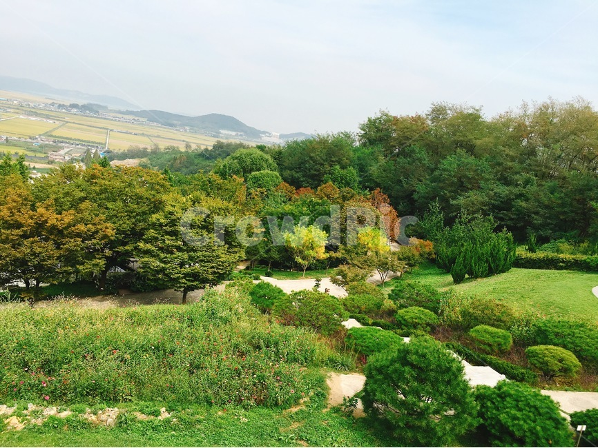 풍경,나무,하늘,잔디,식물원,밭,숲속길,가을,꽃,자연,길,알록달록,자연,풍경,nature,landscape,outdoors,옥외