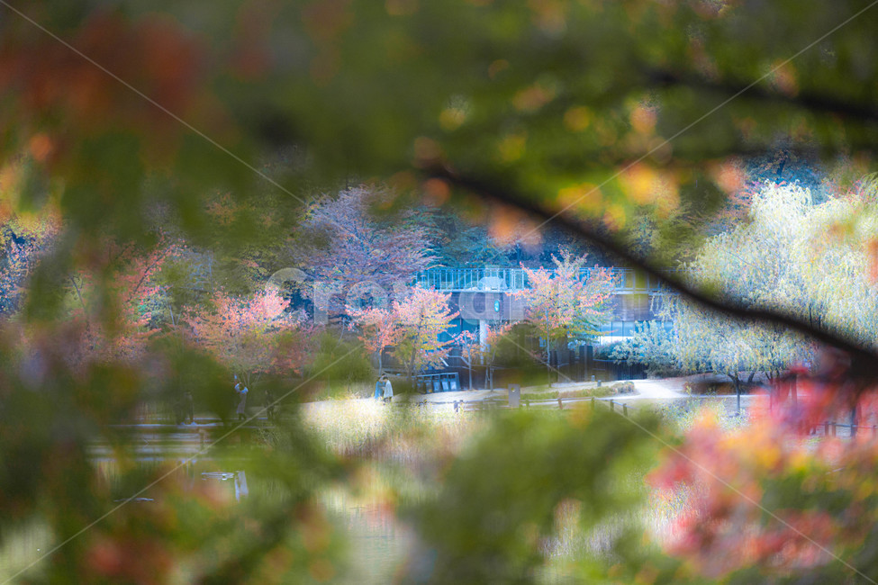 식물,잔디,물,공원,자연,nature,outdoors,옥외,water,grass