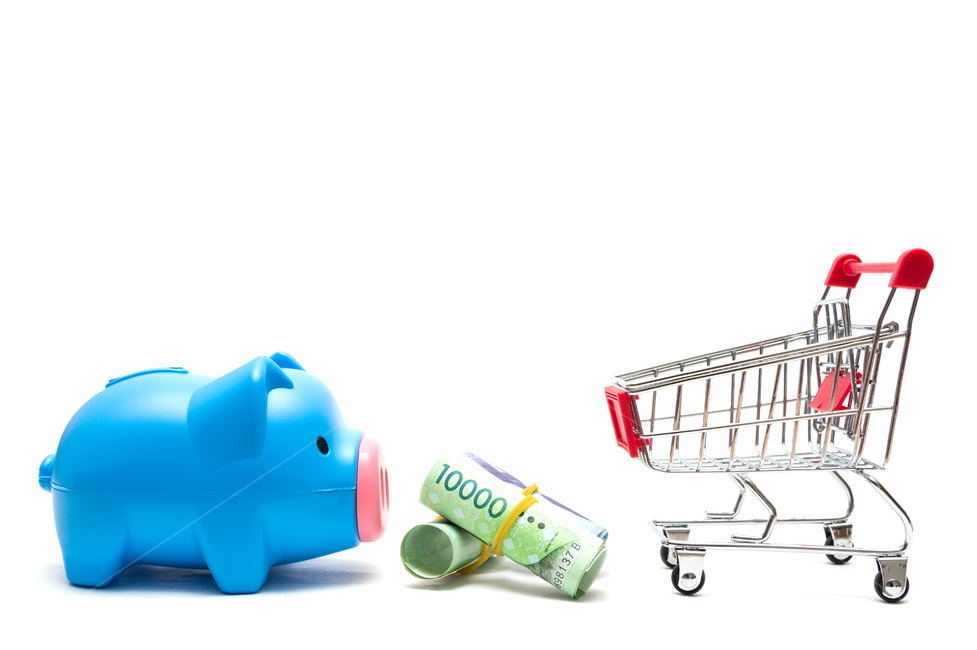 insurance,studio,original picture,directed photo,piggy bank,fee,white background,source,salary,cart,banknote,bank,assets,property,tied money,payment,savings,stock,cash,shopping,10,budget,Oriental,accumulation,single photo,bundle of money,tax,economy,savin