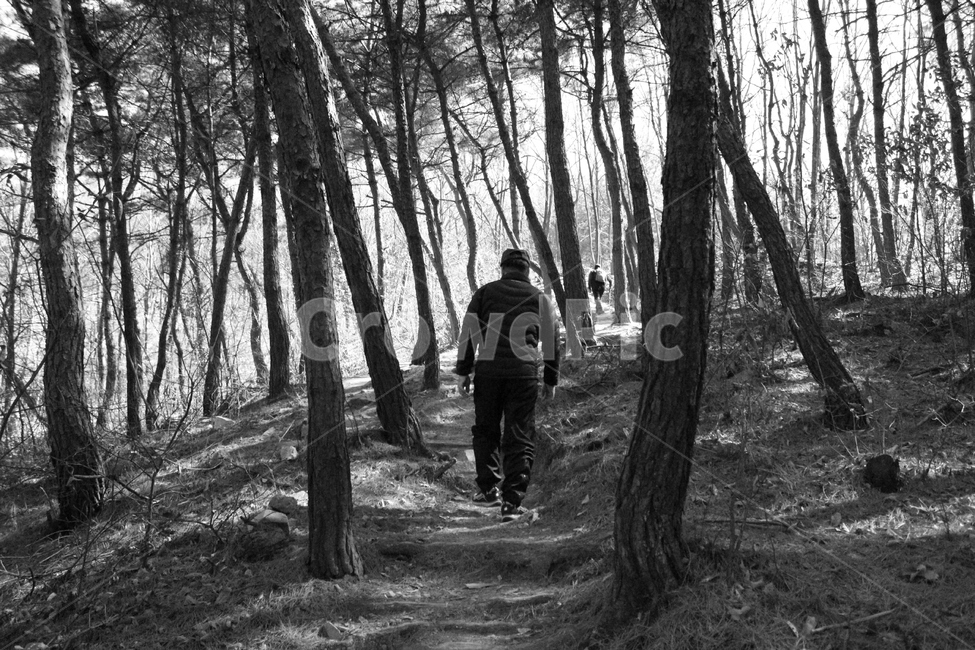 산속,산,뒷모습,나무,흑백사진,아버지
