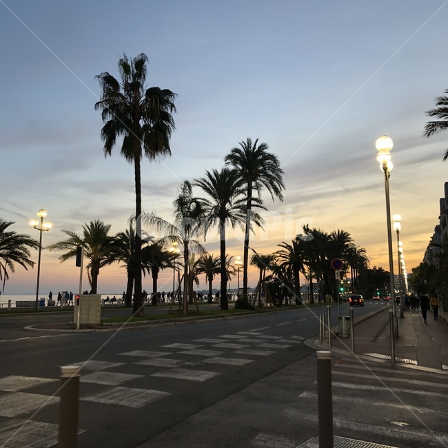 해안도로,coastroad,노을,sunset,도로,road