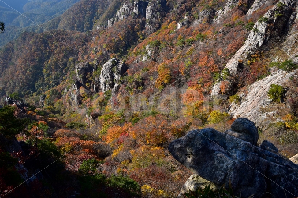 대둔산,가을,풍경,단풍,탐방,도립공원,빨간단풍,파란하늘,가을색,오색,울긋불긋,알록달록,그림같은,칼라풀,뷰티플,아름다운,힐링,감성,자연,정취,산세,명산,100대명산,nature,산,등산,트레킹,풍경사진,비경,경치,가을사진,가을색채,가을의정취,맑음,청명,가을날씨,경관,기암,암봉우리,mountain,금산,완주,논산,낙조대,낙조산장,마천대,케이블카,가을,계절,fall,autumn,season,자연,풍경,nature,landscape,한국자연풍경,한국자연경관,korea nature landscape,outdoors,옥외