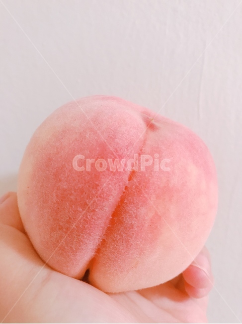복숭아,peach,피치,천도복숭아,과일,음식,식재료,요리,food,cook,meal,dishes,food reserves,과일,열매,fruit