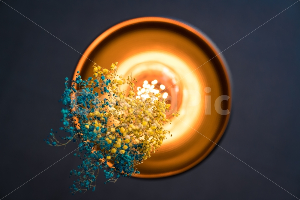 카페,조명,꽃,분위기,감성,색감,색상,컬러,빛,무드,color,flower,light,식물,자연,plants,nature,꽃,flower,감성,sensible,feeling,색깔,색상,색채,색감,color sense,color sensitivity,feeling of color