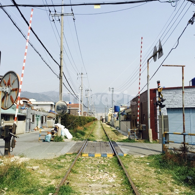 기찻길,하늘,레일,잔디,건물,교통