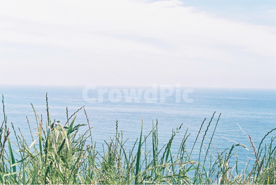 부산,이기대,스카이워크,풍경,감성사진,자연,풍경,nature,landscape,감성,sensible,feeling,grass,잔디,plant,식물