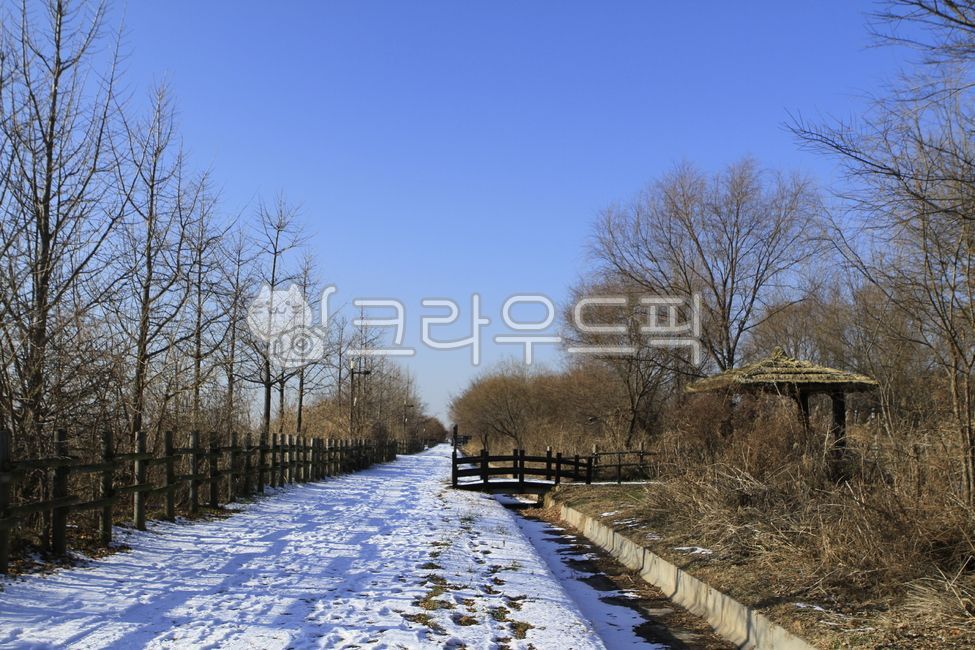 forest,nature,tree,cabin,winter,snowy road,scenery,street tree,street light,outdoors,road,railing,snow,plant,wood,boardwalk,park,Noeul Park