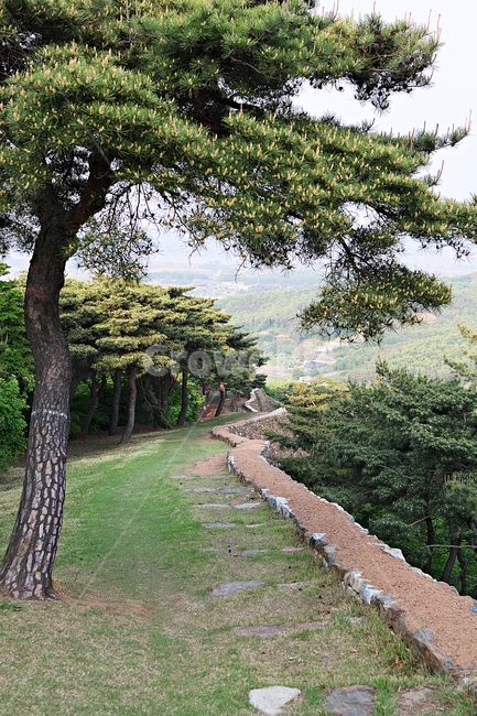 성,전등사,전등사성곽,돌담,숲길,자연,배경,풍경