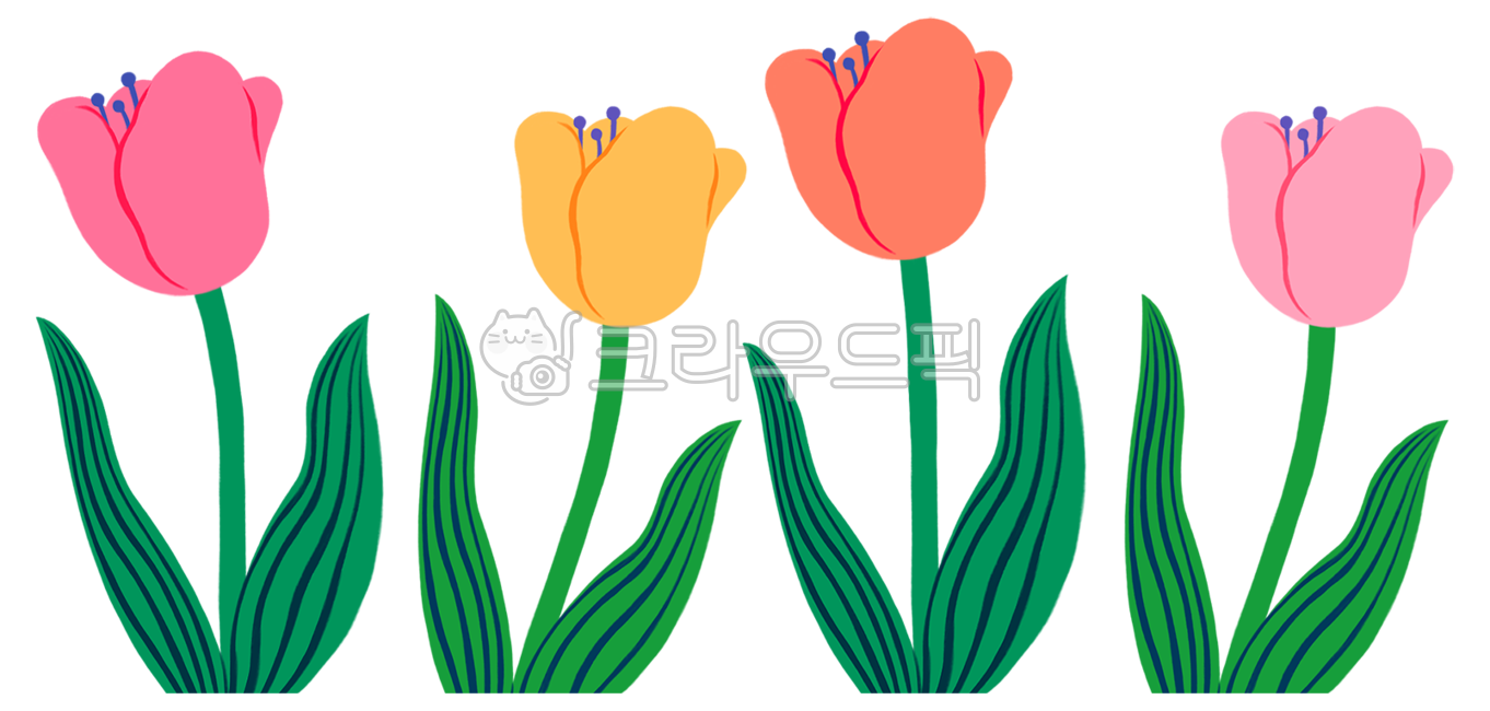 튤립,디자인소스,꽃,꽃일러스트,floraldesign,플로랄디자인,일러스트,일러스트레이션,스티커,누끼,다이어리꾸미기,다이어리,다꾸,illust,illustration