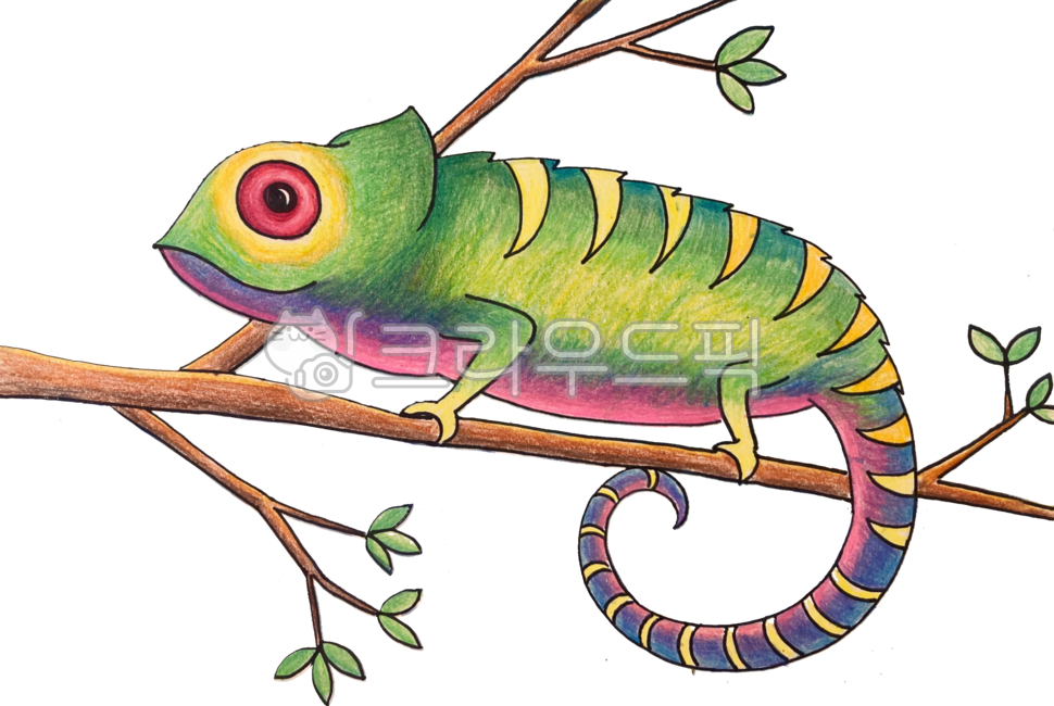 이구아나,카멜레온,색연필,손그림,iguana,chameleon,reptiles,파충류,coloredpencils,drawing,art